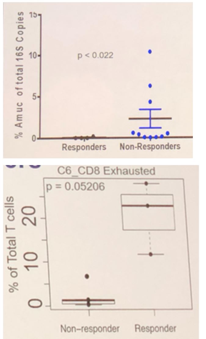 ESMO 2019 responder vs non responder