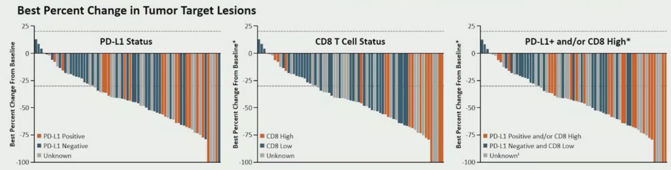 ESMO_T_cells_renal.png