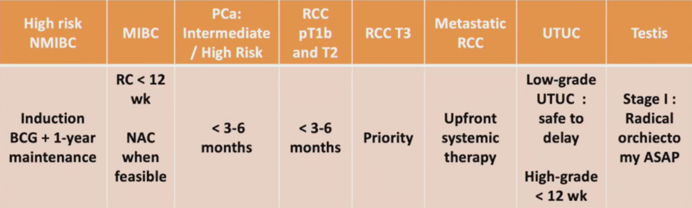 ESOU_genitourinary_cancers.png