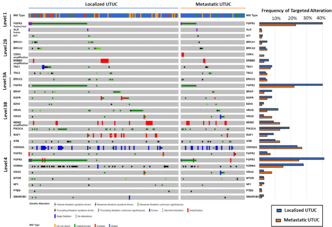 Figure1_GenomicAlterationsIdentified_AUA2020.png