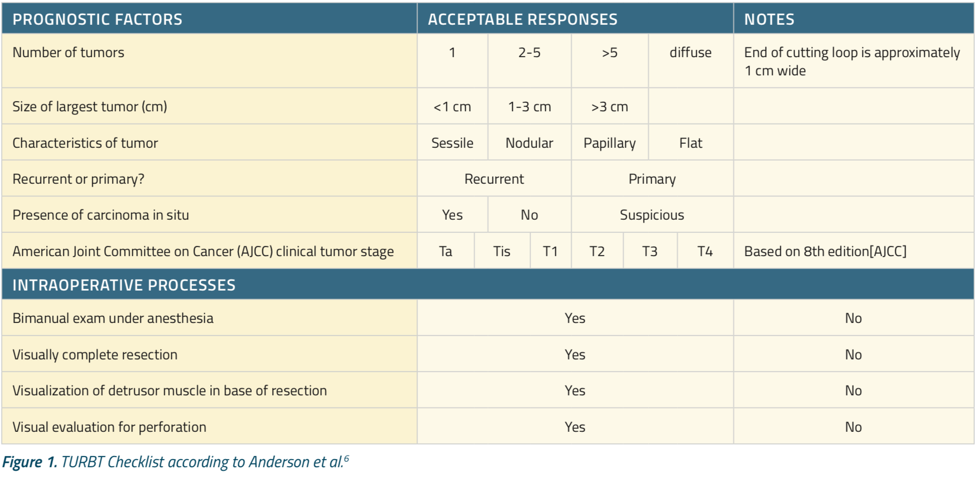 Figure1_TURBT_Checklist_Anderson.png