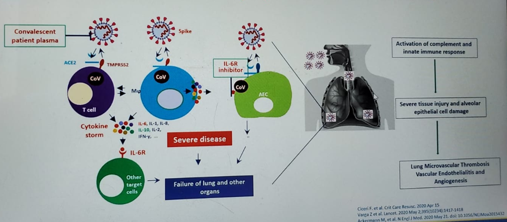 Figure1_ThromboInflammatorySyndrome_ASCO2020.png