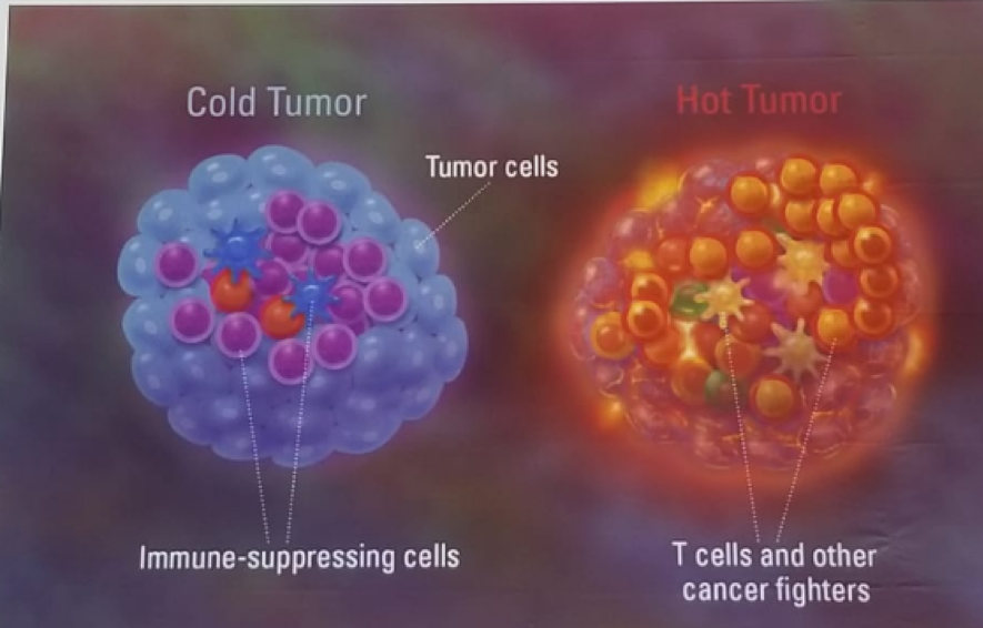 Figure2_Cold_Hot_Tumors.png