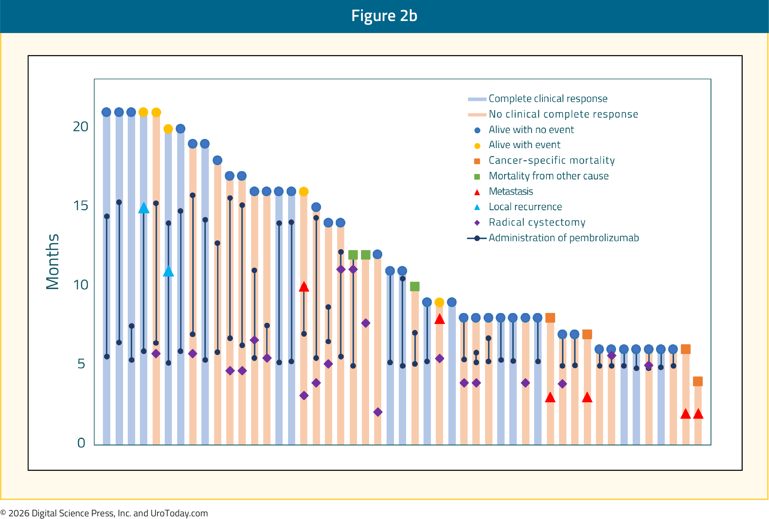 GU Onc Science June Fig 2b
