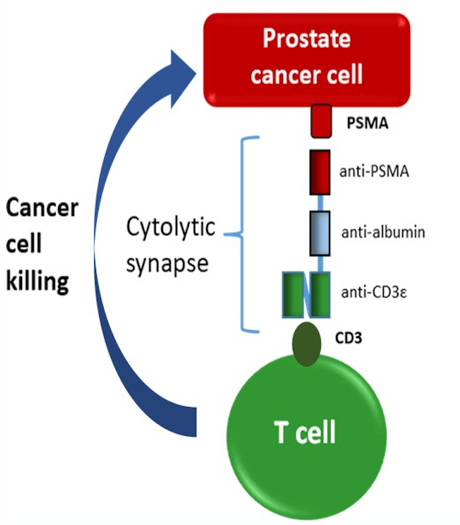 HPN424_Graphic_ASCO2020.png