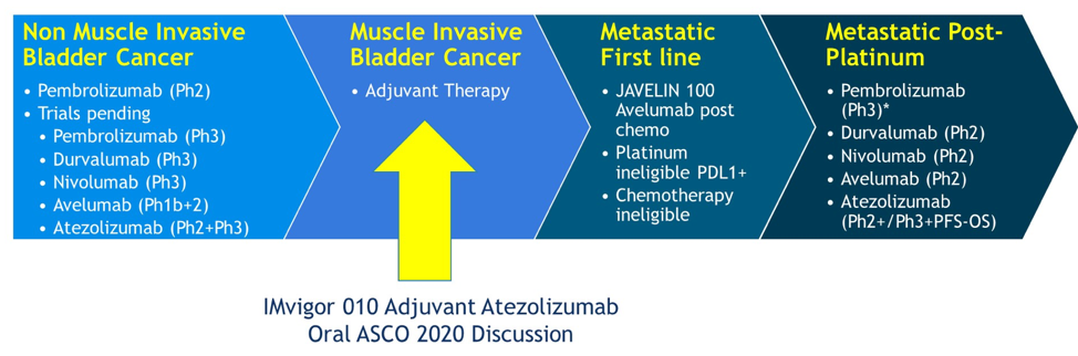 IMvigor10_Discussant_ASCO2020.png
