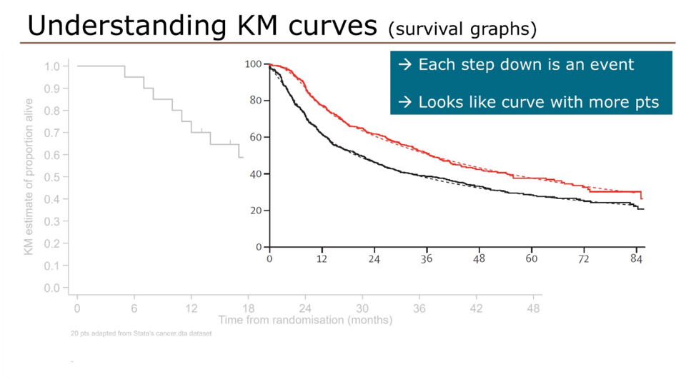 KMcurve.png
