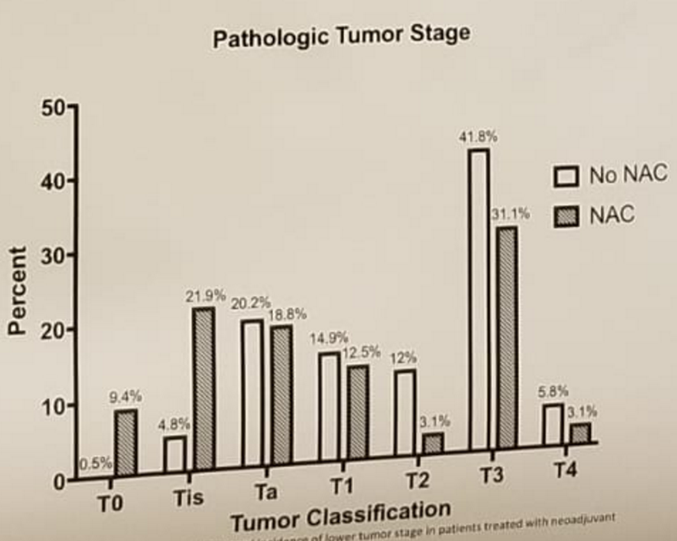 Pathologic Tumor Stage