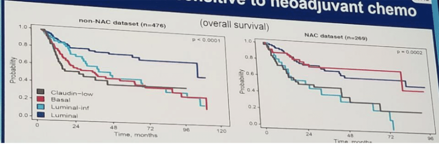 Response of basal and luminal tumors to neoadjuvant chemotherapy