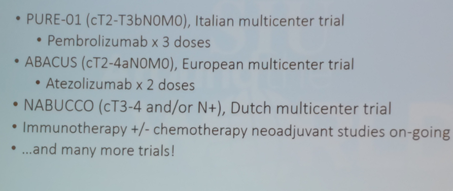 SIU2019_-_Immunotherapy_trials_assessing_its_role_in_the_neoadjuvant_setting.png