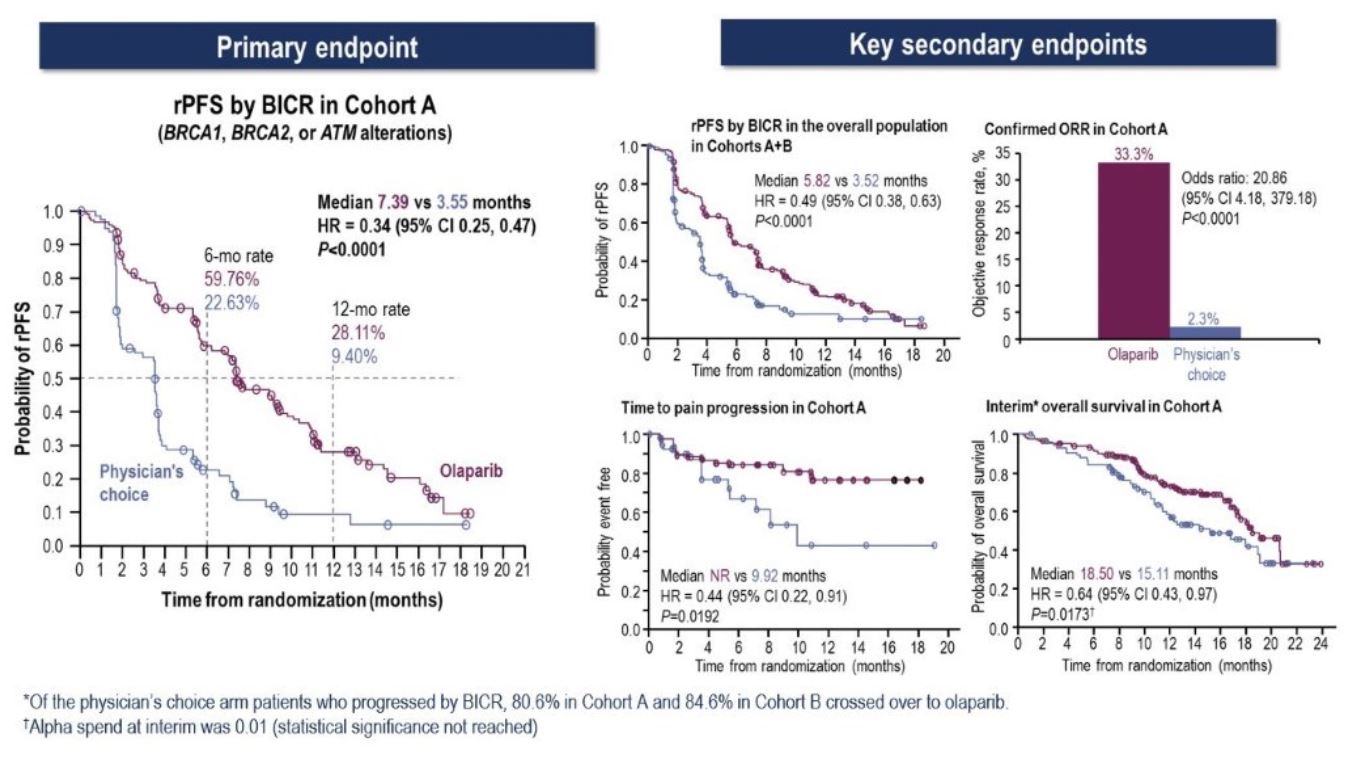 SNMMI 2019 Figure 5 PROFOUND trial initial results