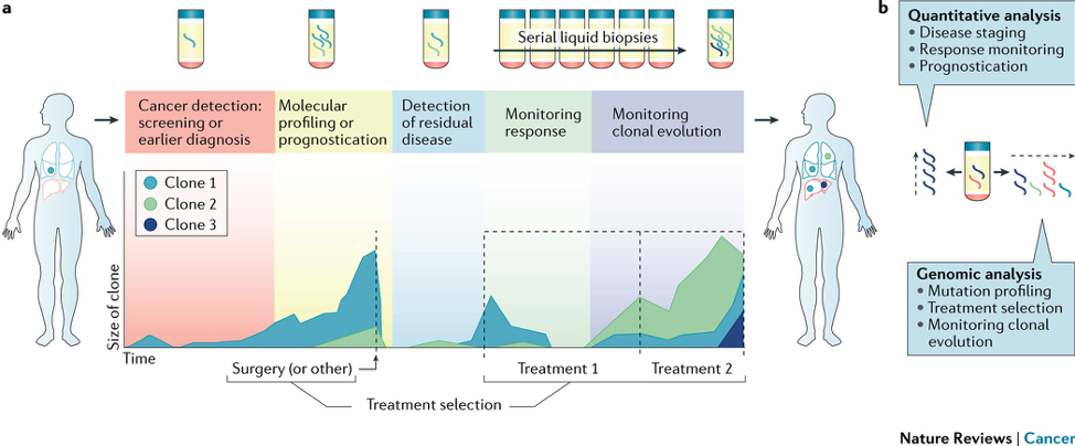 Sat_ctDNA_Picture1.png
