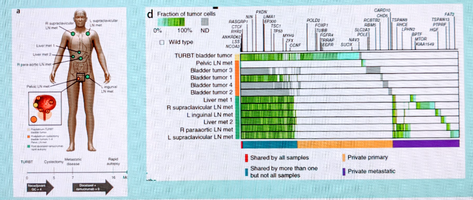 Sat_ctDNA_Picture7.png