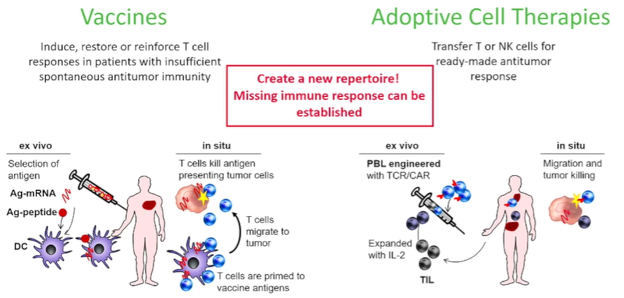 T_cell_receptor.png