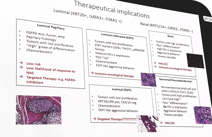 TherapueticalImplications 1