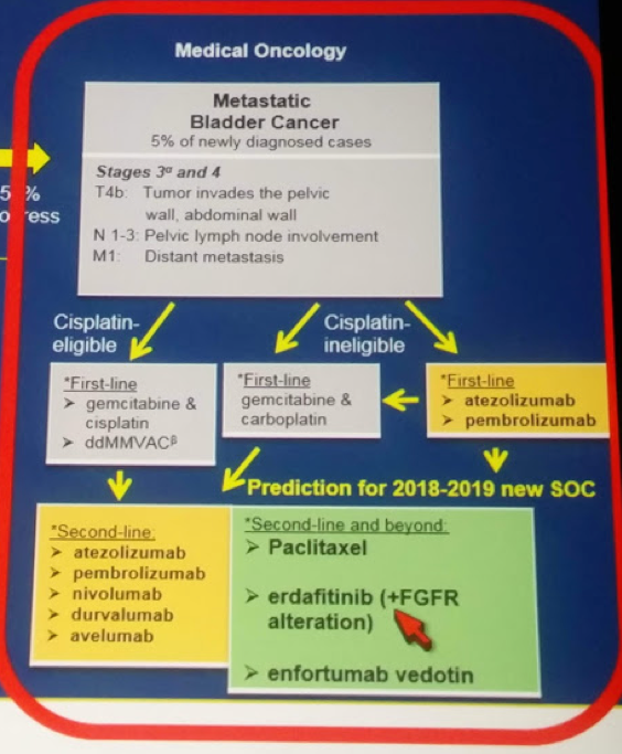 UroToday ASCO2018 Nonimmunotherapy Strategies in Advanced Bladder Cancer 5
