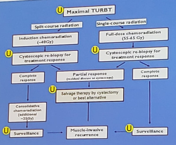 UroToday ASCOGU2019 Trimodality Therapy 