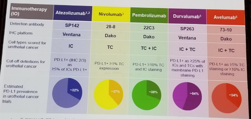 UroToday FOIU2018 Assays for PD L1 expression in urothelial cancer
