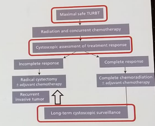 UroToday FOIU2018 Trimodal therapy protocol