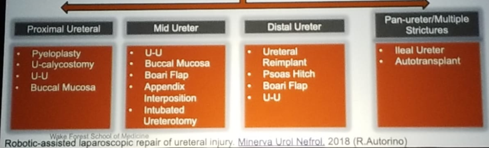 UroToday NARUS 2019 Possible Therapeutic Options for Ureteral Strictures