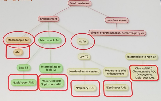 UroToday WCE2018 Proposed imaging algorithm of renal mass