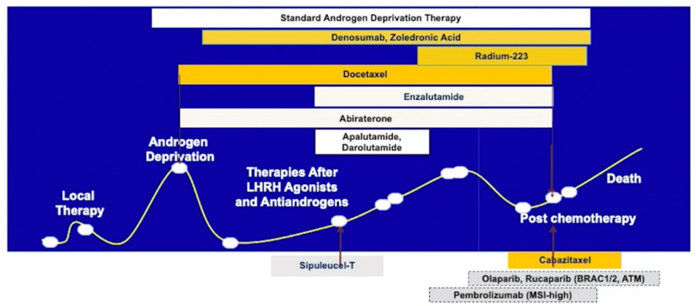 VISION-discussion_ASCO_Tewari_1.png