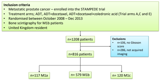 low volume prostate cancer