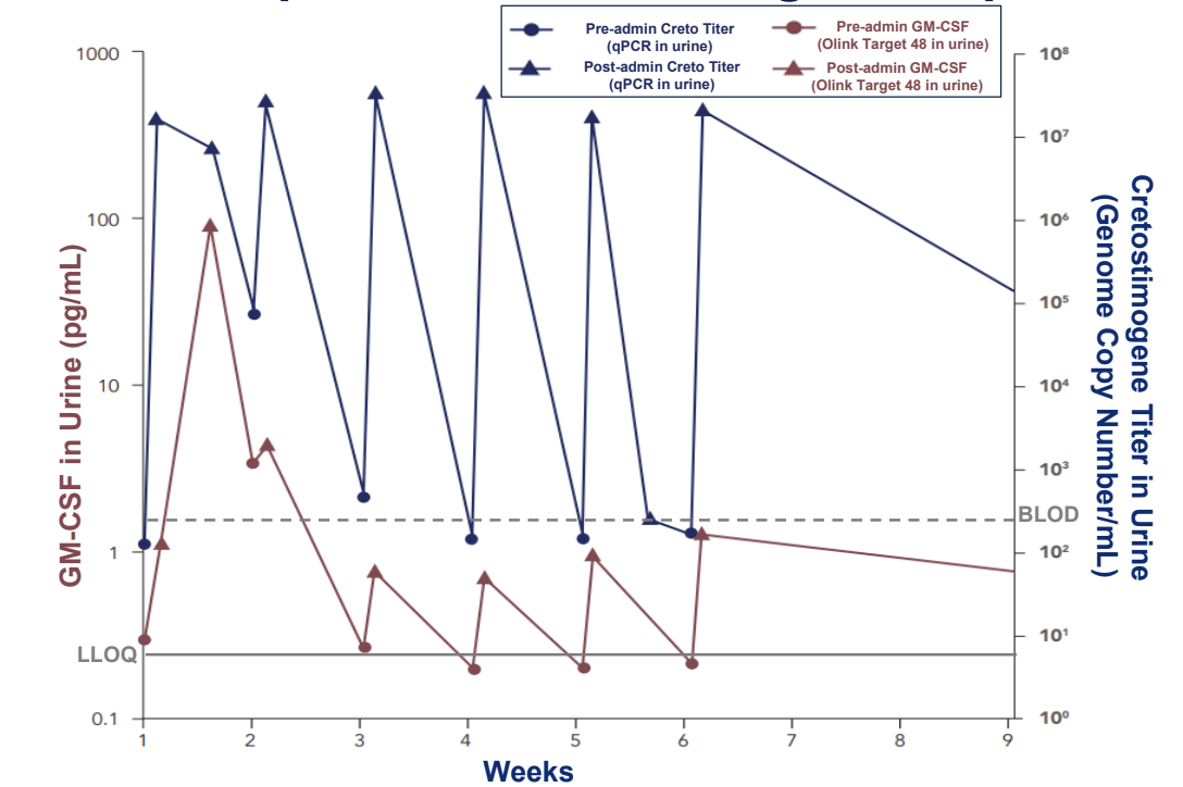 Viral_Replication_and_Transgene_Expression.png