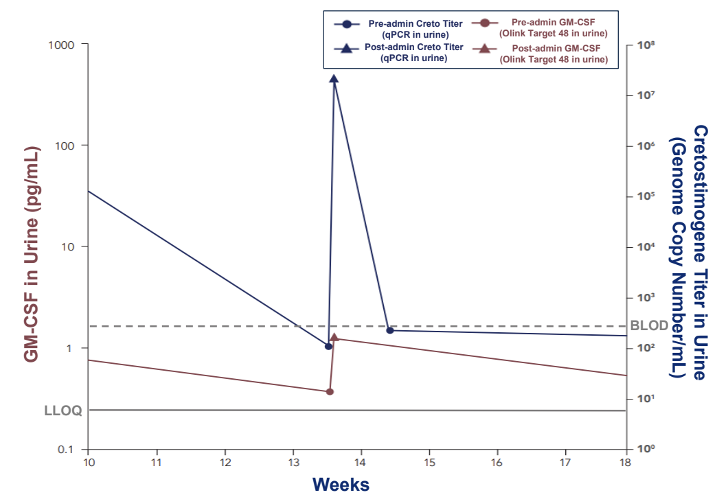 Viral_Replication_and_Transgene_Expression_Maintenance.png