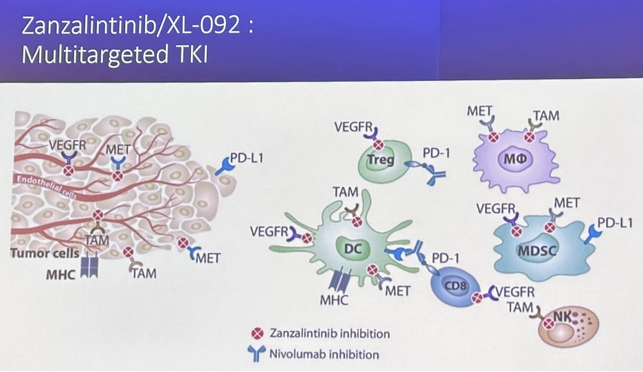 Zanzalintinib_XL-092.png