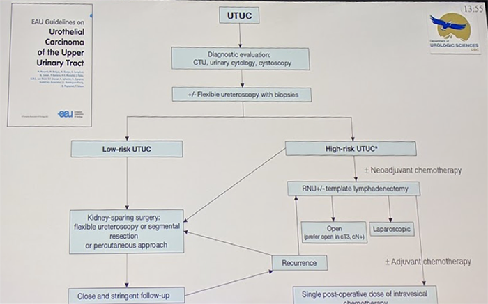 _EAU2019_EAU_guidelines_UTUC.png
