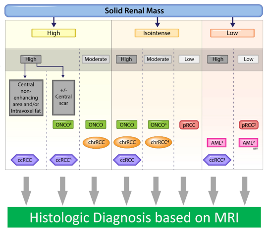 algorithm for virtual biopsy with an MRI