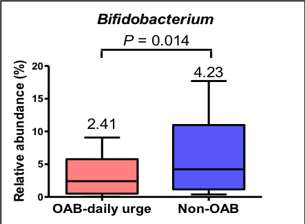 bifidobacterium OAB