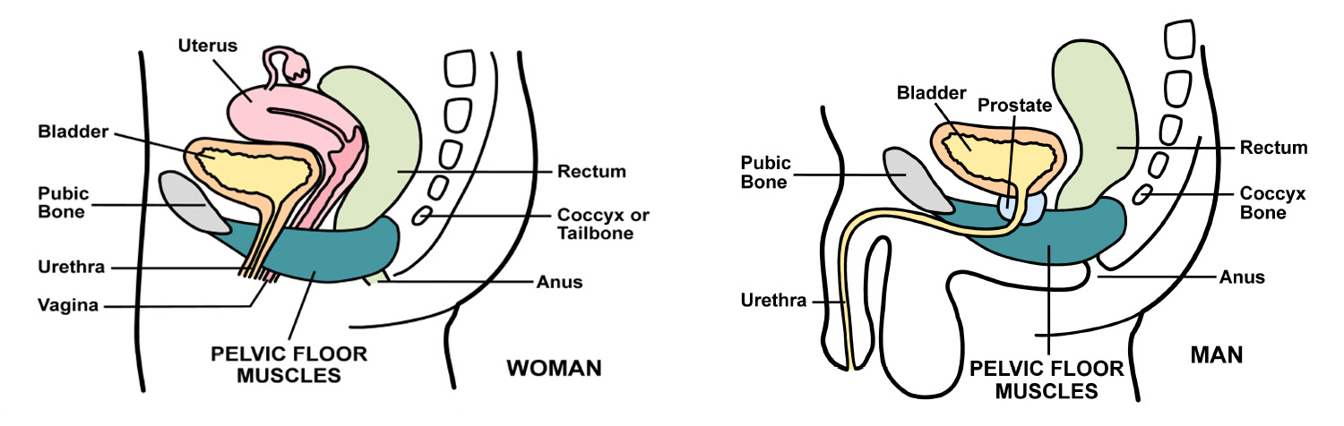 bladder_leaks_men_and_women.jpg