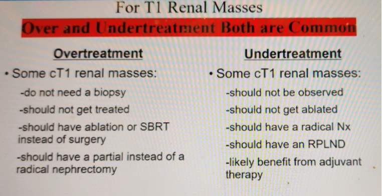 cT1_renal_masses.png