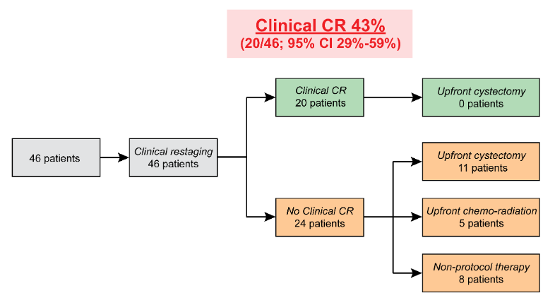 clinic_line_graph.jpeg
