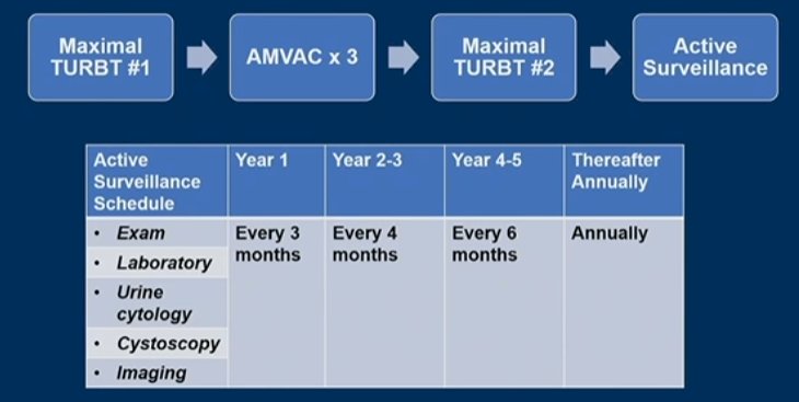 year by year.jpg