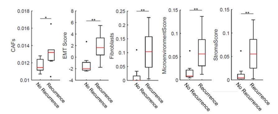 fibroblast score.jpg