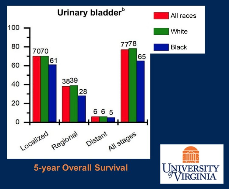 urothelial carcinoma.jpg