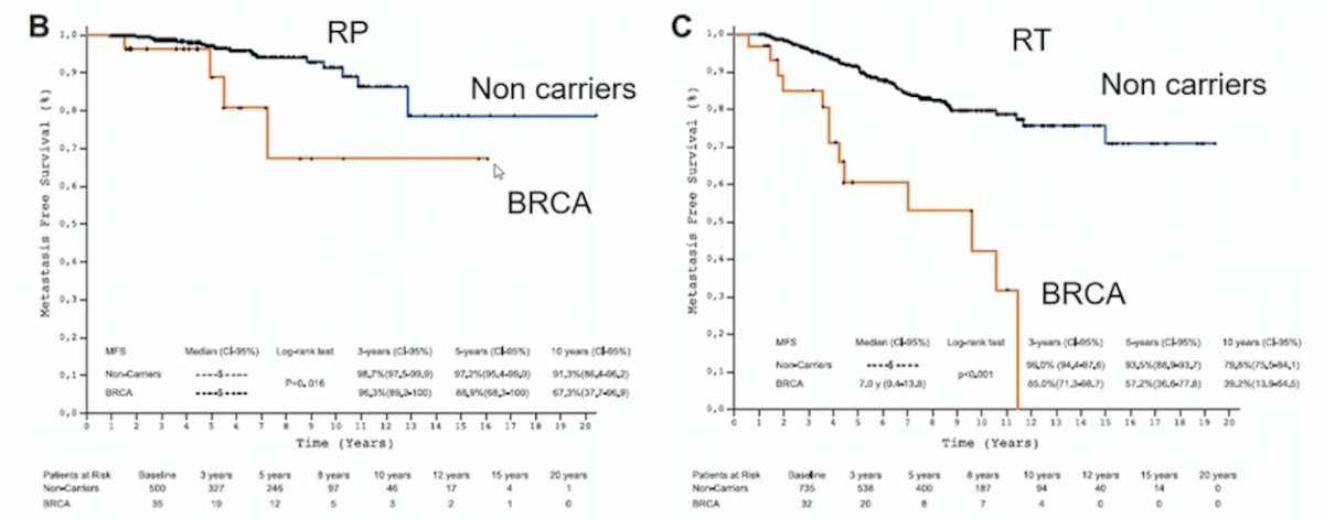 BRCA graphs.jpg