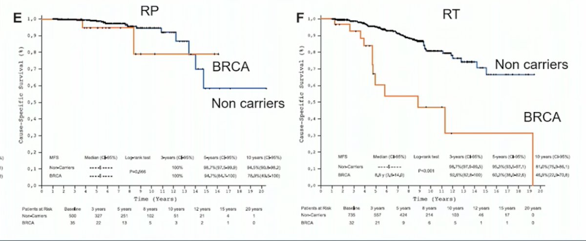 BRCA graphs 2.jpg