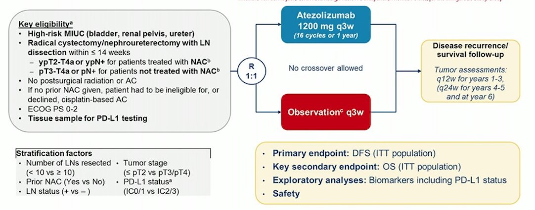 EAU 2023_Birtle_6 _systemic chemotherapy after radical nephroureterectomy