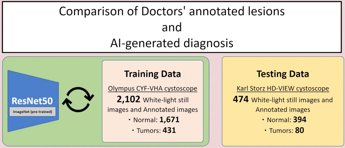 comparison of doctors images.jpg