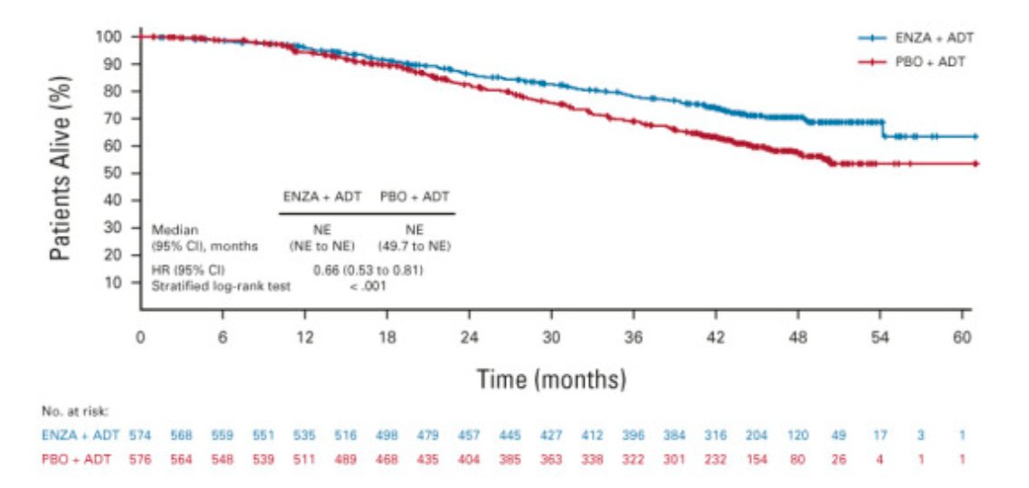 patient alive graph.jpg
