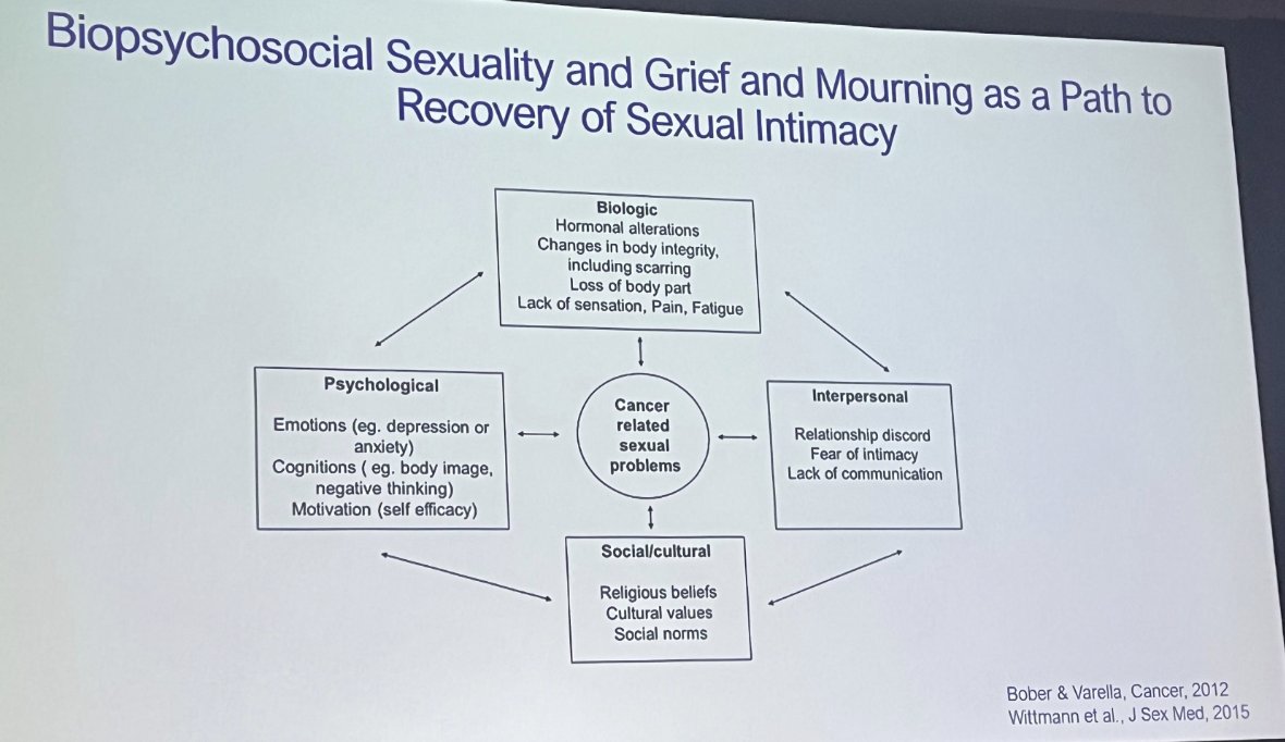 biopsychosocial sexuality.jpg
