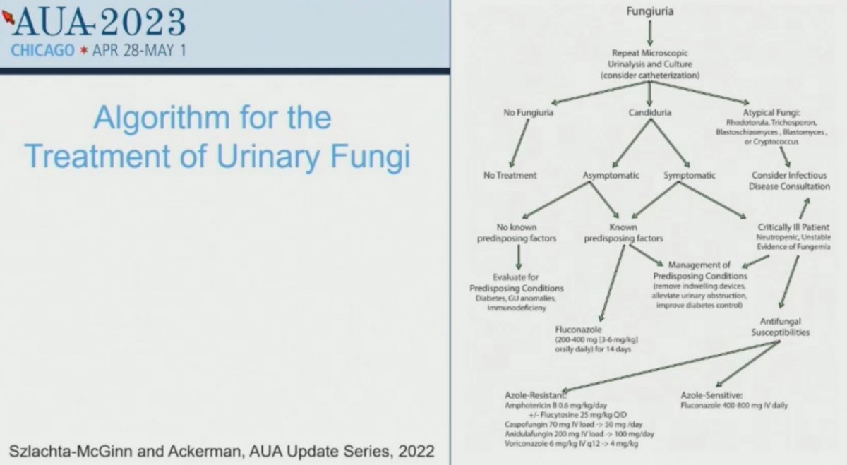 AUA 2023 Treatment of Fungal Urinary Tract Infection_1