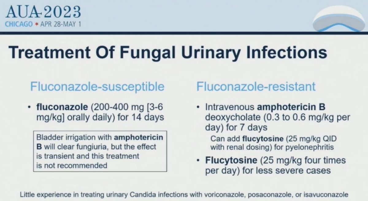 AUA 2023 Treatment of Fungal Urinary Tract Infection_3