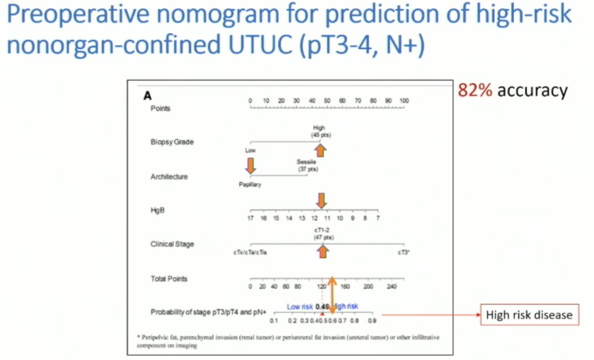 preoperative info.jpg