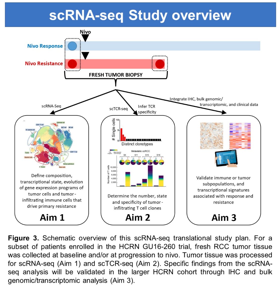 RNA seq