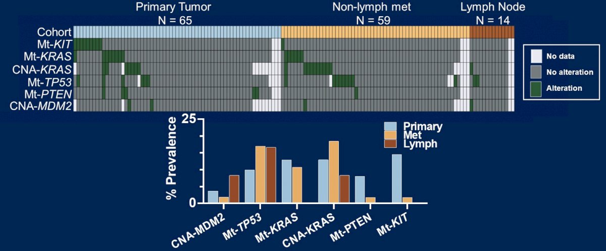 Tumor Lymph Node MET